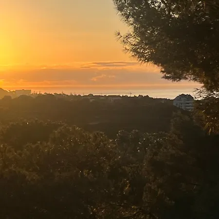 F Up, Rio Real, Marbella